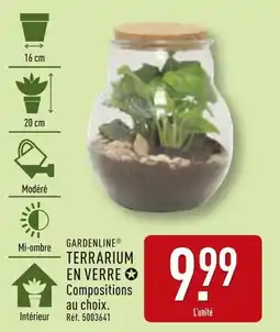 ALDI GARDENLINE Terrarium en verre offre