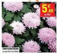 Promocash Gambas sauvages géantes crues 7/10 offre