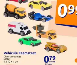 Action Véhicule teamsterz offre