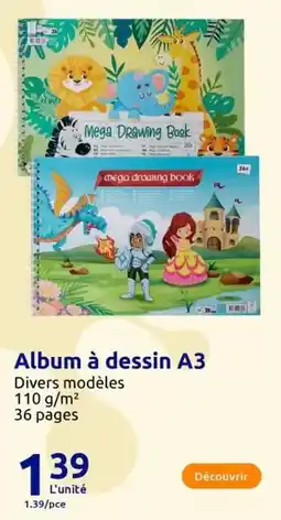 Action Mega - album à dessin a3 offre
