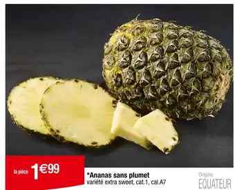 Carrefour Ananas sans plumet offre