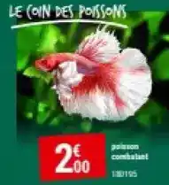 Gamm vert Le coin des posson offre