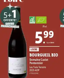 Lidl BOURGUEIL BIO Domaine Caslot Pontonnier offre