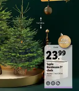 Sapin Nordmann 1er choix