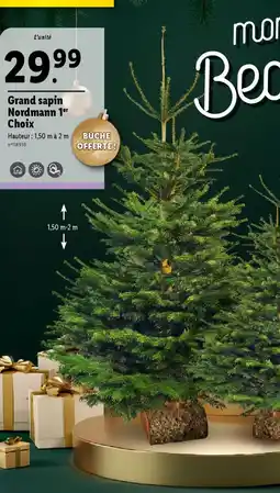 Lidl Grand sapin Nordmann 1er offre