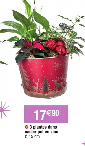 Migros 3 plantes dans cache-pot en zinc offre