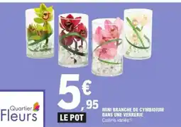 E.Leclerc Mini branche de cymbidium dans une verrerie offre