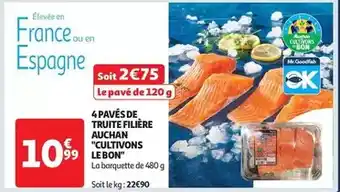 Auchan Auchan - 4 pavés de truite filière cultivons le bon offre