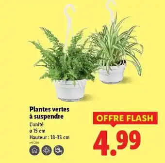 Hyper U Clementine de corse igp offre