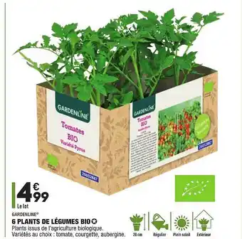 ALDI 6 Plants De Légumes Bio Gardenline offre