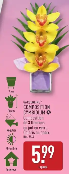 ALDI Composition cymbidium offre