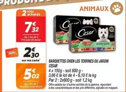 U Express TIPIAK Coquilles saint-jacques surgelees offre