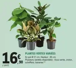 Hyper U U - gambas entieres crues surgelees asc offre