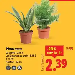 Hyper U U - delice fourre aux le produit brisures de truffes d'ete aromatise saveurs offre