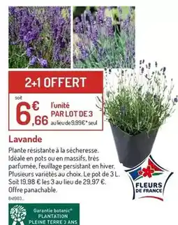 Hyper U Bougie parfumee message de noel offre