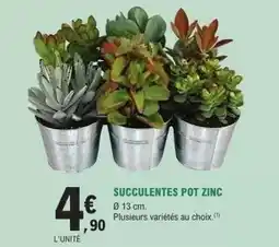 Hyper U Delfin - queue de langouste blanche crue surgelee offre