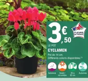 Hyper U Pescanova - gambas surgelees offre