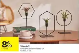 Promocash Tomate ronde offre