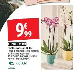 E.Leclerc Whiskas - sachets fraîcheur pour chat offre