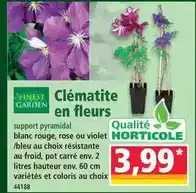 Hyper U Purina - repas pour chat gourmet gold offre