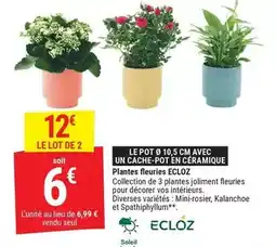 E.Leclerc Baileys - coffret de bouteilles en chocolat liqueur offre