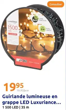 Action Luxuriance Guirlande lumineuse en grappe LED offre