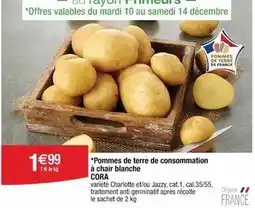 Cora Cora - pommes de terre de consommation à chair blanche offre