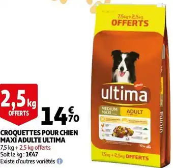 Auchan Ultima croquettes pour chien maxi adulte offre