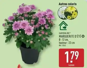 Match Paic - liquide vaisselle offre