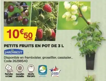 Bricomarché Petits fruits en pot de 3 L offre