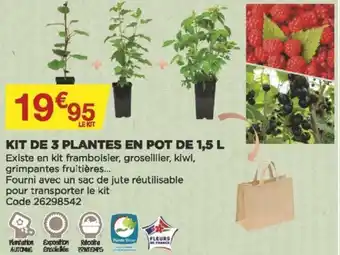 Bricomarché Kit de 3 plantes en pot de 1,5 L offre