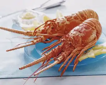 Auchan Langouste Cuite offre