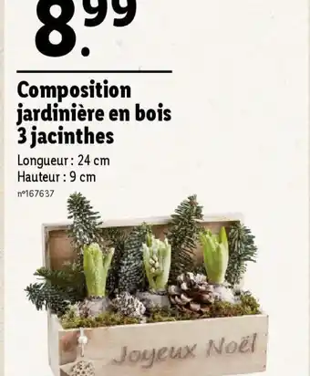 Lidl Composition jardinière en bois 3 jacinthes offre