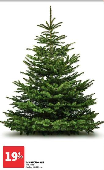 Auchan Sapin nordmann offre