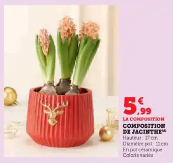 Super U Composition de jacinthe offre