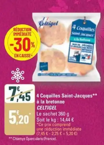 G20 CELTIGEL 4 Coquilles Saint-Jacques à la bretonne offre