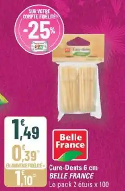 G20 BELLE FRANCE  Cure-Dents 6 cm offre