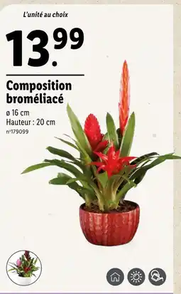 Lidl Composition broméliacé offre