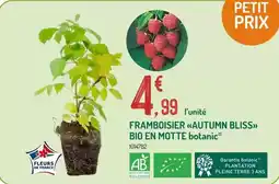 ALDI Éventail de crevettes offre