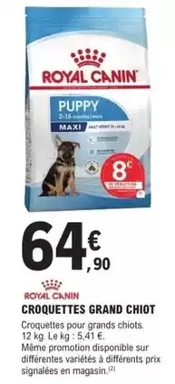 Carrefour Market Orchidée phalaenopsis offre