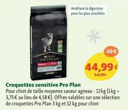 Carrefour Market Pukka - infusion bio offre