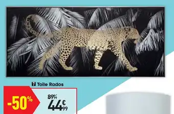 Conforama Toile Rados offre