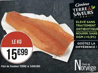 Terre saveurs filet de saumon