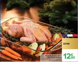 Netto Promo - queues de crevettes sauce cocktail asc offre