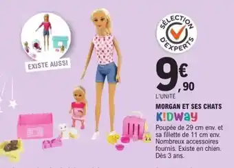 GiFi Oreiller ferme offre