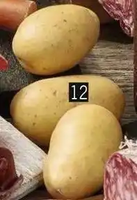 Pomme de terre de consommation à chair ferme spéciale vapeur