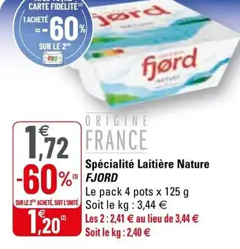 G20 Spécialité laitière nature FJORD offre