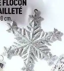Centrakor Le flocon pailleté offre