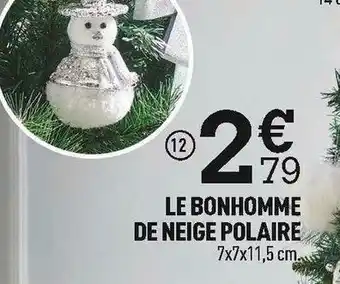 Le bonhomme de neige polaire