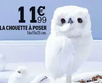 Centrakor La chouette à poser offre